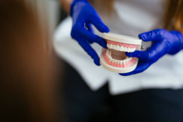 Best Laser Dentistry  in Tavernier, FL